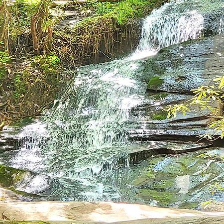 Luxury Cabin With Waterview And Privacy, Hiking ブルーリッジ山脈 エクステリア 写真