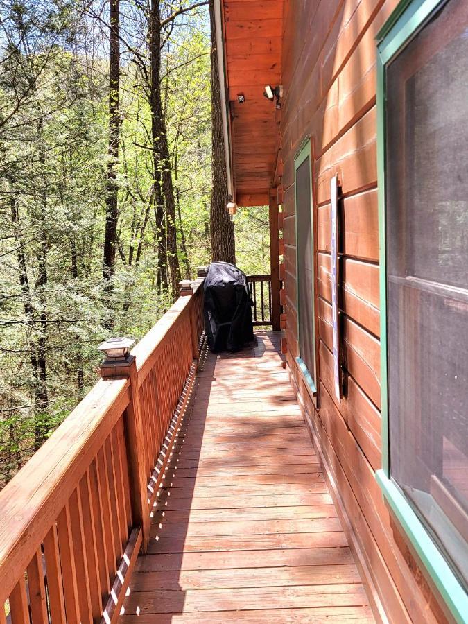 Luxury Cabin With Waterview And Privacy, Hiking ブルーリッジ山脈 エクステリア 写真
