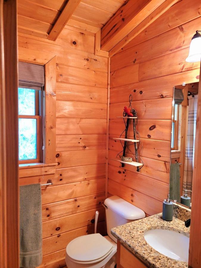 Luxury Cabin With Waterview And Privacy, Hiking ブルーリッジ山脈 エクステリア 写真