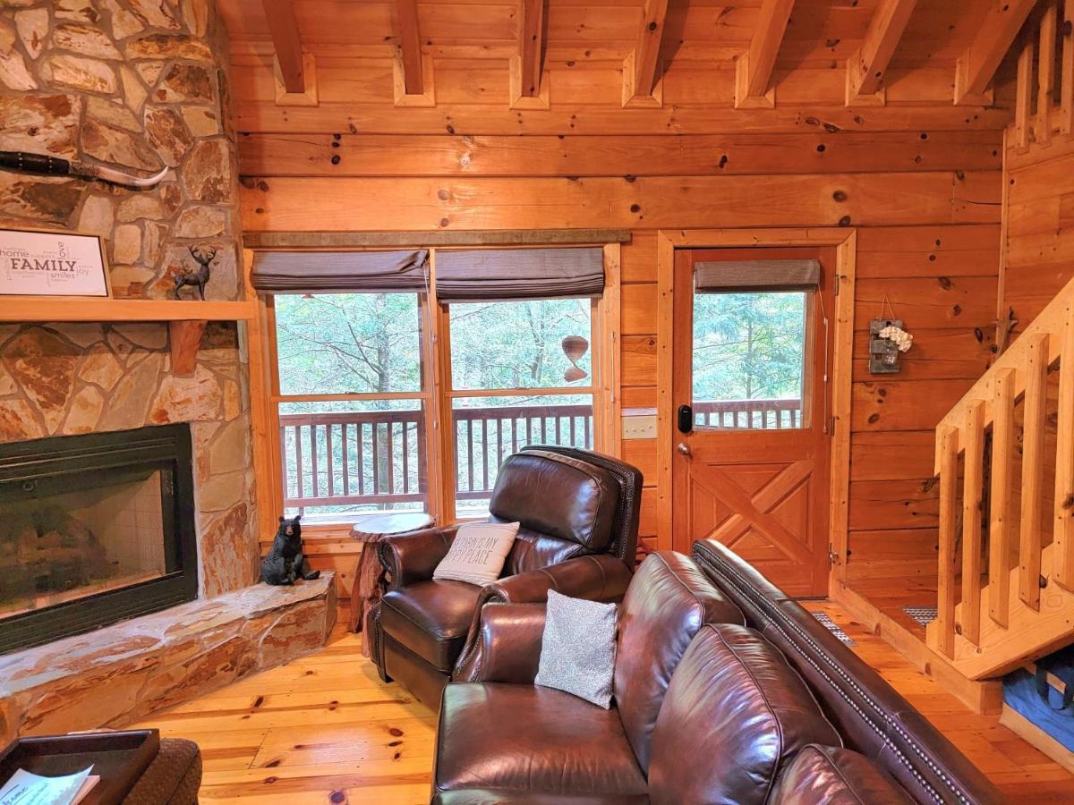 Luxury Cabin With Waterview And Privacy, Hiking ブルーリッジ山脈 エクステリア 写真