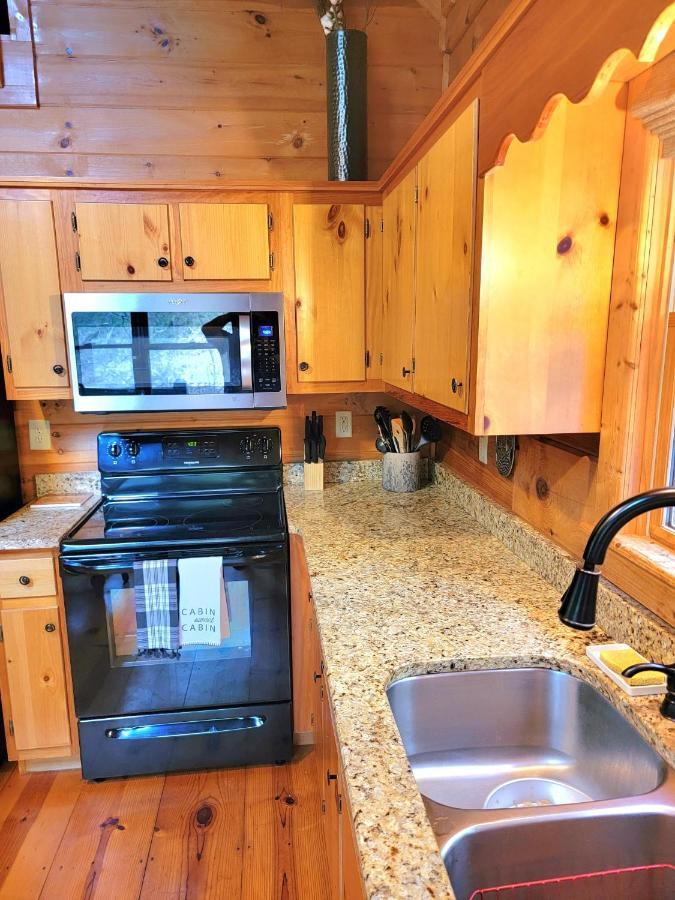 Luxury Cabin With Waterview And Privacy, Hiking ブルーリッジ山脈 エクステリア 写真