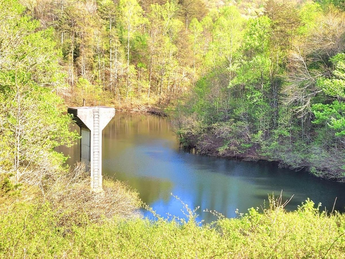 Luxury Cabin With Waterview And Privacy, Hiking ブルーリッジ山脈 エクステリア 写真